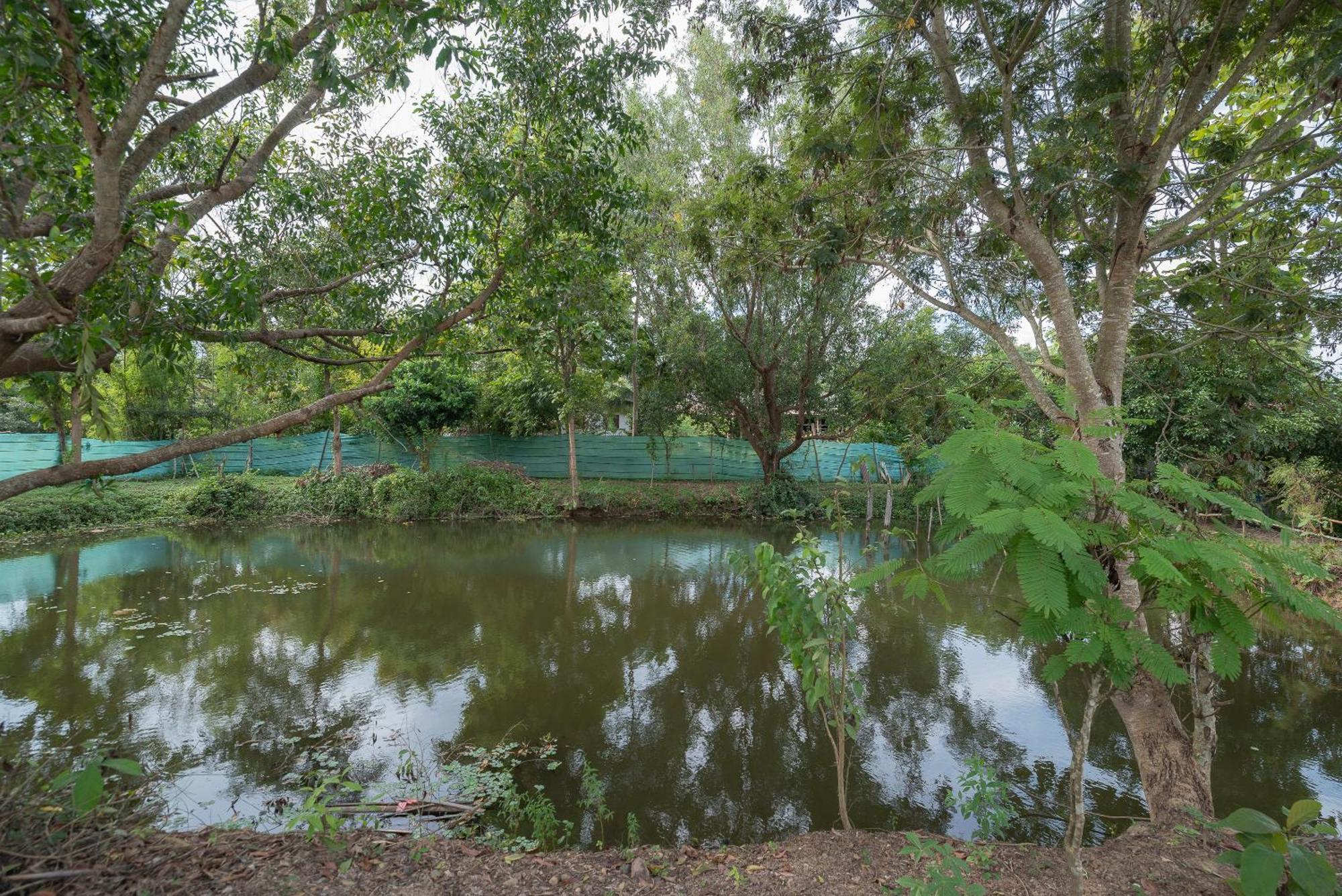Paddy Fields Haven - Natures Nest Pai Exterior photo