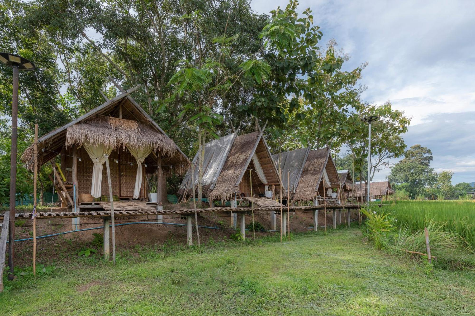 Paddy Fields Haven - Natures Nest Pai Exterior photo