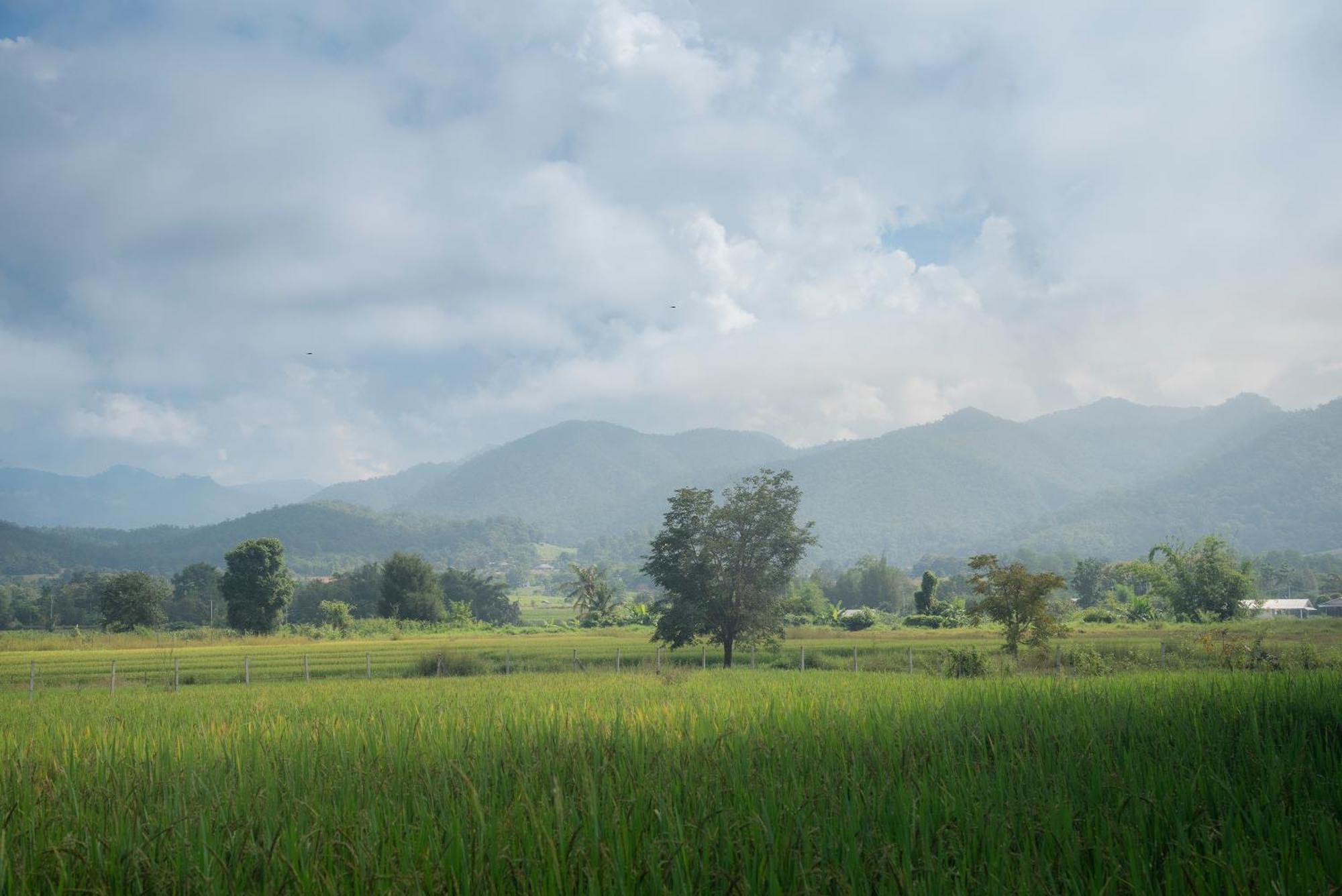 Paddy Fields Haven - Natures Nest Pai Exterior photo
