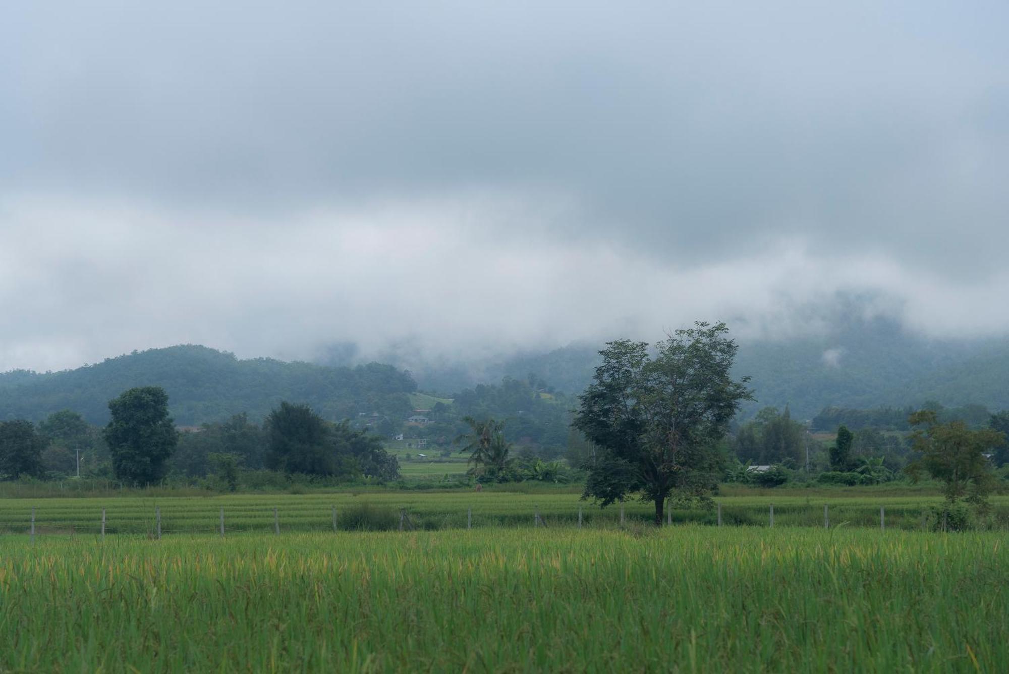 Paddy Fields Haven - Natures Nest Pai Exterior photo