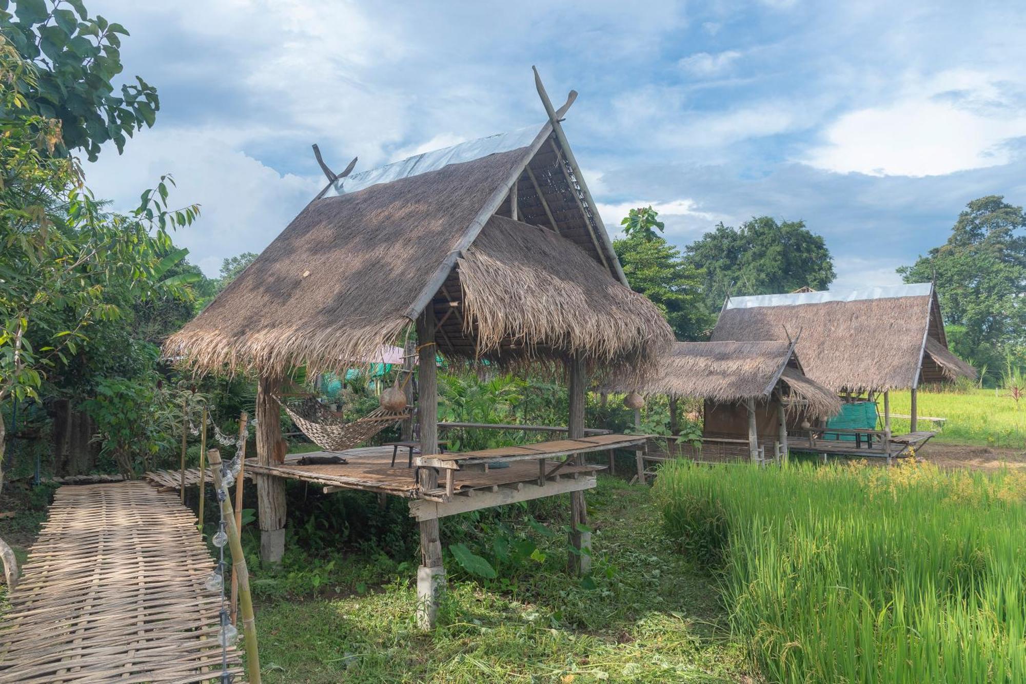 Paddy Fields Haven - Natures Nest Pai Exterior photo