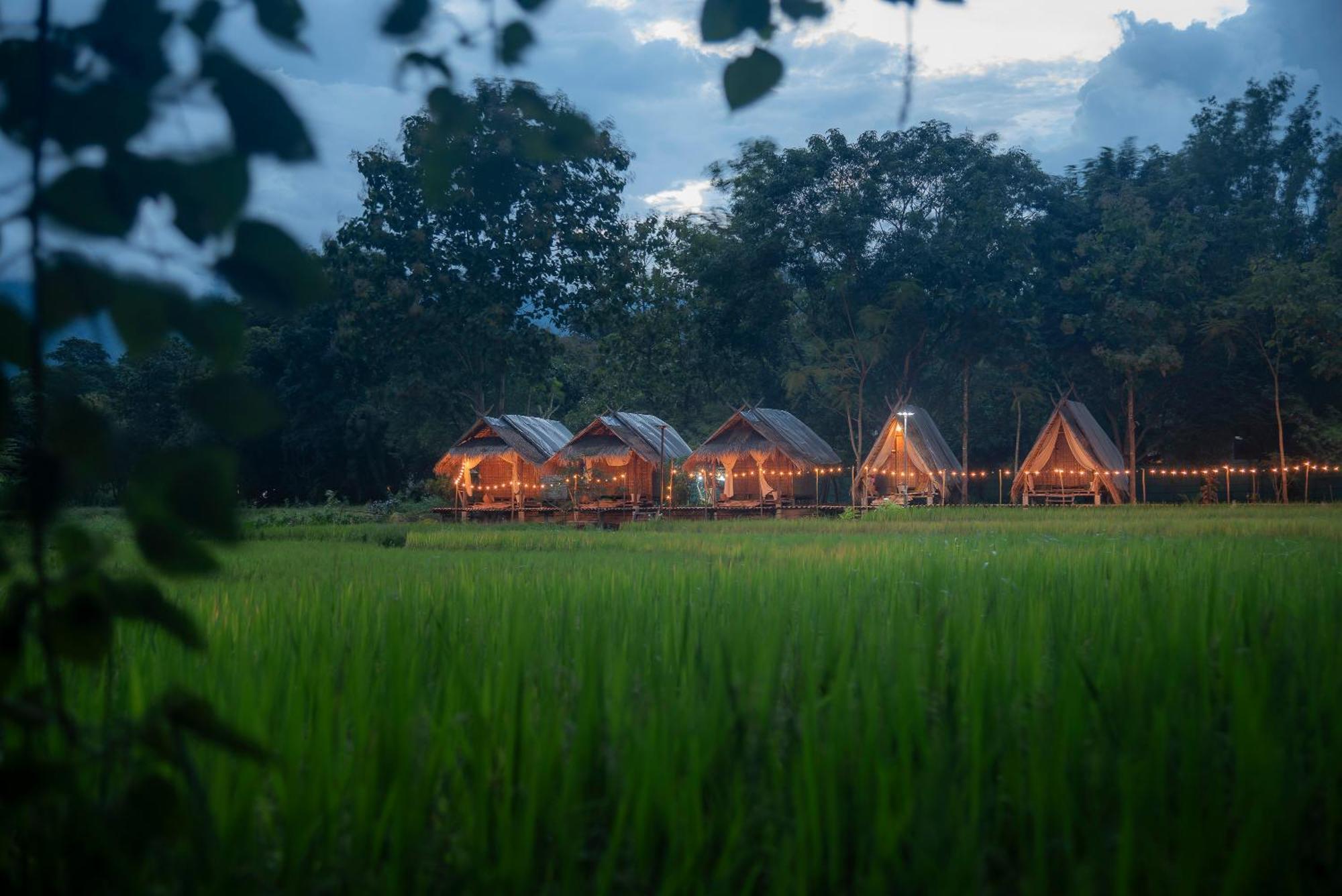 Paddy Fields Haven - Natures Nest Pai Exterior photo