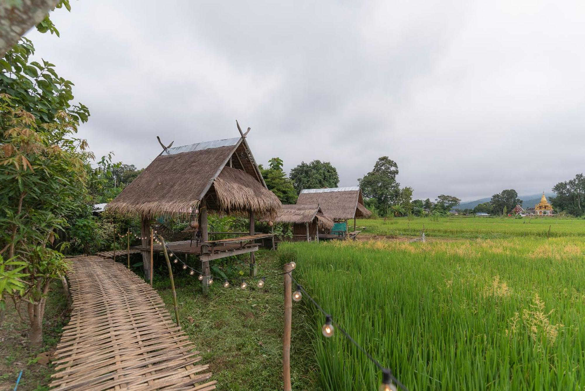 Paddy Fields Haven - Natures Nest Pai Exterior photo