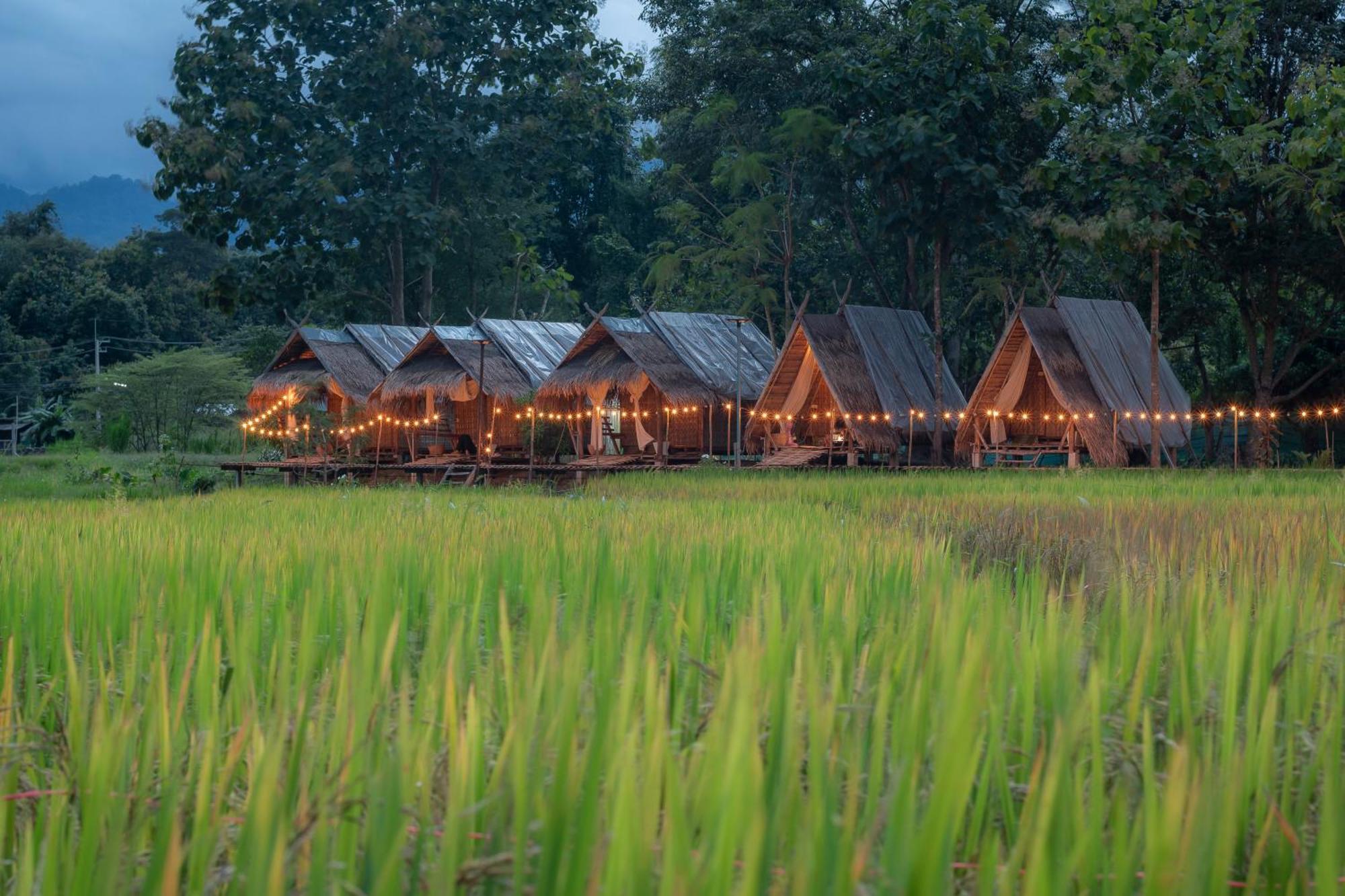 Paddy Fields Haven - Natures Nest Pai Exterior photo